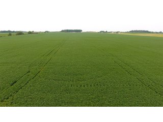 Property photo 26 - IMPORTANT OHIO LAND AUCTION - 325.5+/- ACRES OFFERED IN 8 TRACTS IN PICKAWAY COUNTY, OHIO